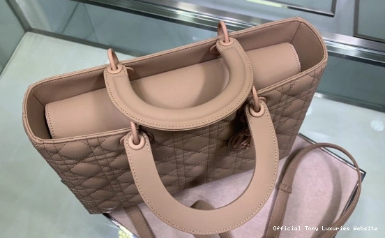Tony Luxuries BAG diro LARGE LADY 0809